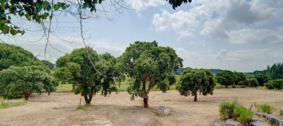 3 Schlafzimmer Haus in Alcoentre, Portugal, Nr. 304097 25