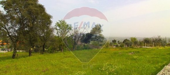 Grundstück in Nelas, Portugal 1500m², Nr. 43830 6