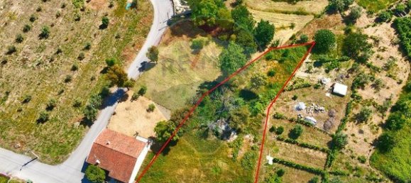 Grundstück in Nelas, Portugal 1500m², Nr. 43830 7