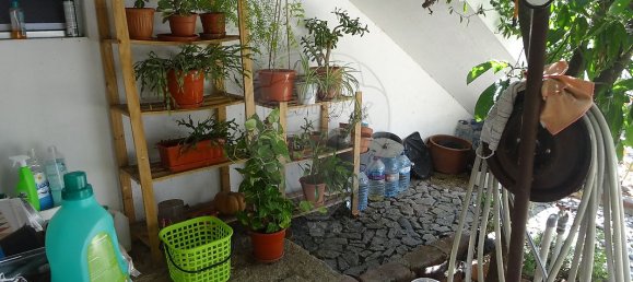 Casa T10 em Torrão, Portugal N.º 20570 19