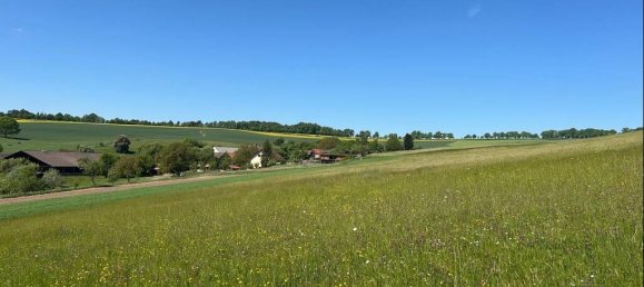 4 chambres Villa à Odenwaldkreis, Germany No. 103394 10