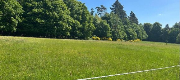 4 chambres Villa à Odenwaldkreis, Germany No. 103394 11