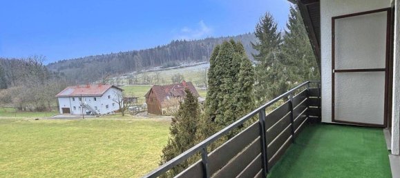 4 chambres Villa à Odenwaldkreis, Germany No. 103394 31