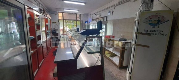 1-Zimmer Gewerbliche Immobilie in Rome, Italy, Nr. 169758 11