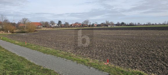 Terrain à Ostholstein, Germany No. 49468 3