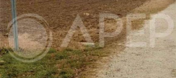 3 bedrooms House in Camposampiero, Italy No. 293381 6