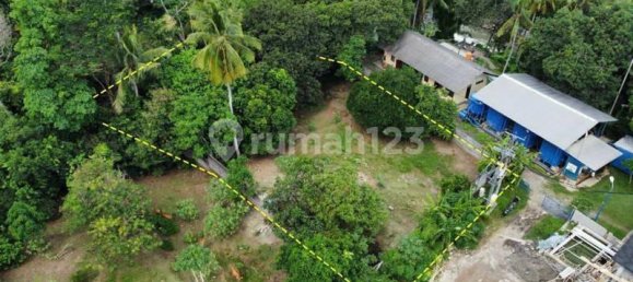 Terrain à Tabanan, Indonesia 1750m² No. 4240 4