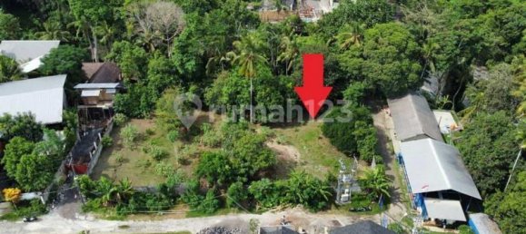 Terrain à Tabanan, Indonesia 1750m² No. 4240 2