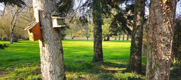 5 bedrooms House in Riaille, France No. 357874 6