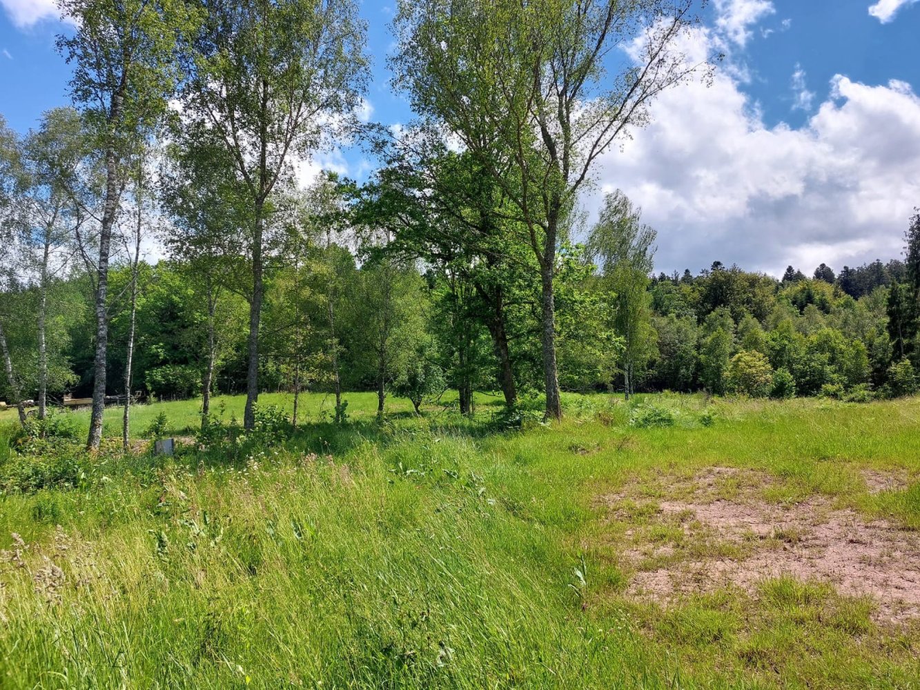 Terrain à Saulcy-sur-Meurthe, France No. 260431