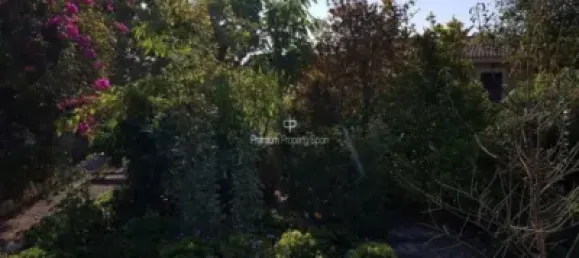  قطعة أرض في Torrellano, Spain 44318متر مربع رقم 134874 34