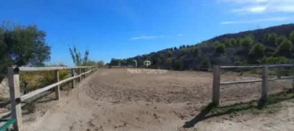  قطعة أرض في Torrellano, Spain 44318متر مربع رقم 134874 24