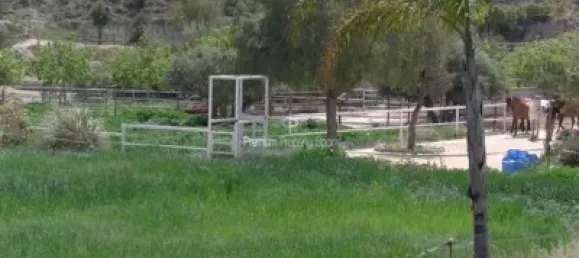  قطعة أرض في Torrellano, Spain 44318متر مربع رقم 134874 3