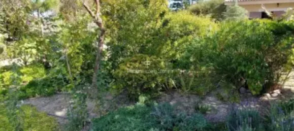  قطعة أرض في Torrellano, Spain 44318متر مربع رقم 134874 29