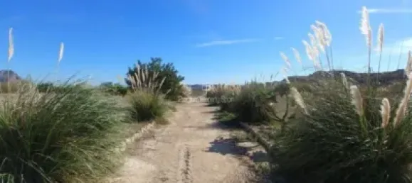  قطعة أرض في Torrellano, Spain 44318متر مربع رقم 134874 18