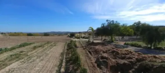  قطعة أرض في Torrellano, Spain 44318متر مربع رقم 134874 32