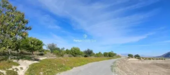  قطعة أرض في Torrellano, Spain 44318متر مربع رقم 134874 33