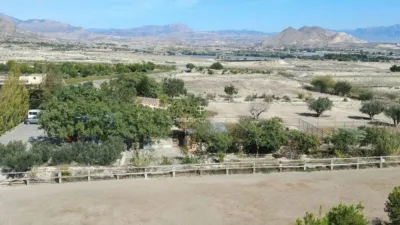  قطعة أرض في Torrellano, Spain 44318متر مربع رقم 134874