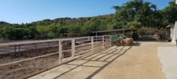  قطعة أرض في Torrellano, Spain 44318متر مربع رقم 134874 40