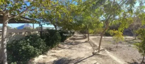  قطعة أرض في Torrellano, Spain 44318متر مربع رقم 134874 6