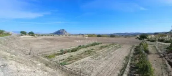  قطعة أرض في Torrellano, Spain 44318متر مربع رقم 134874 31