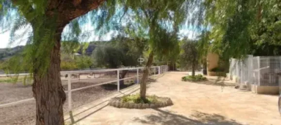  قطعة أرض في Torrellano, Spain 44318متر مربع رقم 134874 22