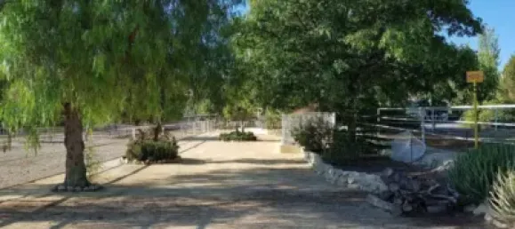  قطعة أرض في Torrellano, Spain 44318متر مربع رقم 134874 35