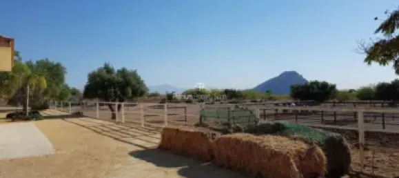  قطعة أرض في Torrellano, Spain 44318متر مربع رقم 134874 12