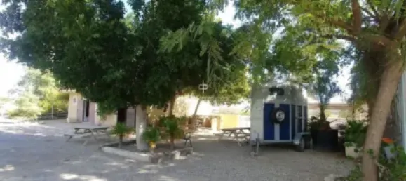  قطعة أرض في Torrellano, Spain 44318متر مربع رقم 134874 26