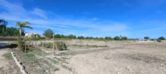  قطعة أرض في Torrellano, Spain 44318متر مربع رقم 134874 20