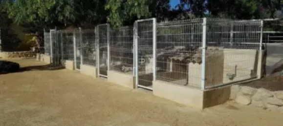  قطعة أرض في Torrellano, Spain 44318متر مربع رقم 134874 36