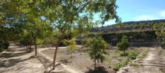  قطعة أرض في Torrellano, Spain 44318متر مربع رقم 134874 7