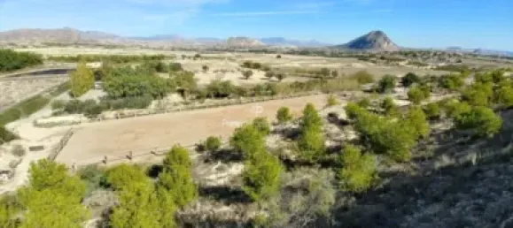  قطعة أرض في Torrellano, Spain 44318متر مربع رقم 134874 49