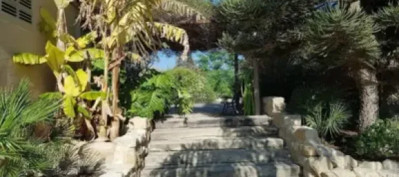  قطعة أرض في Torrellano, Spain 44318متر مربع رقم 134874 9