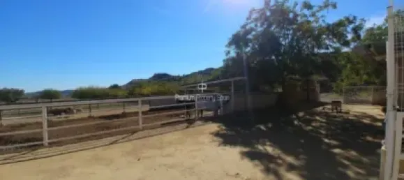  قطعة أرض في Torrellano, Spain 44318متر مربع رقم 134874 14