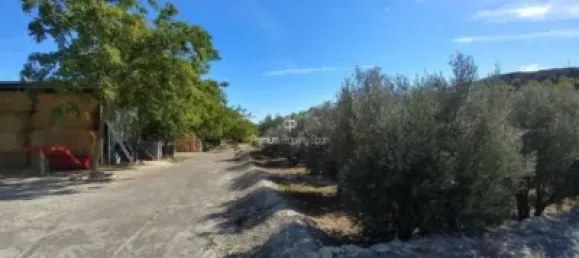  قطعة أرض في Torrellano, Spain 44318متر مربع رقم 134874 23