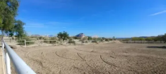  قطعة أرض في Torrellano, Spain 44318متر مربع رقم 134874 16