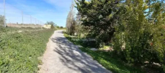  قطعة أرض في Torrellano, Spain 44318متر مربع رقم 134874 27