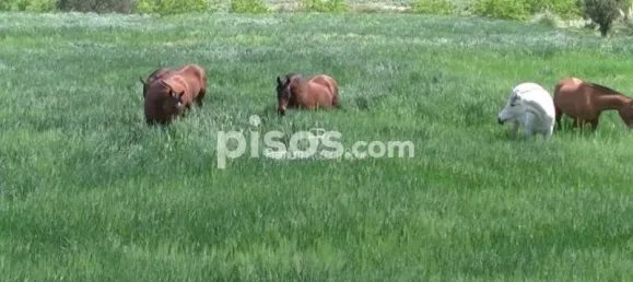  قطعة أرض في Torrellano, Spain 44318متر مربع رقم 134874 47