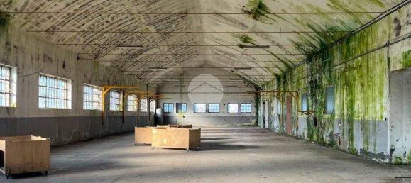 5700m² Warehouse in Marmirolo, Italy No. 210719 15