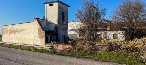 5700m² Warehouse in Marmirolo, Italy No. 210719 8