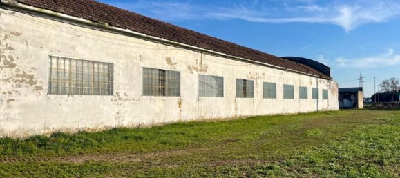 5700m² Warehouse in Marmirolo, Italy No. 210719 13