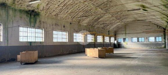 5700m² Warehouse in Marmirolo, Italy No. 210719 5