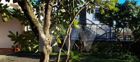 10 bedrooms House in Oliveira de Frades, Portugal No. 67240 24