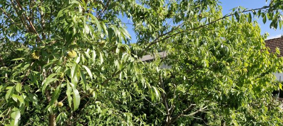 5 Schlafzimmer Haus in Güssing, Austria, Nr. 210208 5