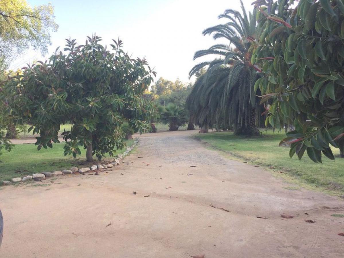 8 bedrooms House in Valparaiso, Chile No. 3129