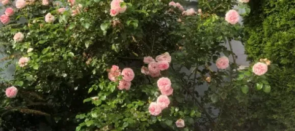 3 Schlafzimmer Haus in Baden-Württemberg, Germany, Nr. 37544 2