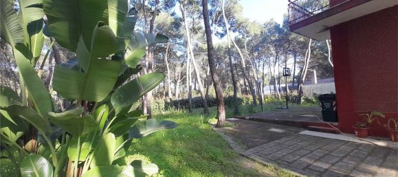 7غرفة فيلا في Castellaneta, Italy رقم 35500 4