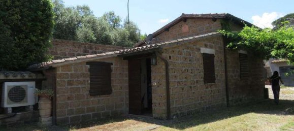 Квартира с 10 комнатами в Кастильоне ин Теверина, Италия № 201180 2