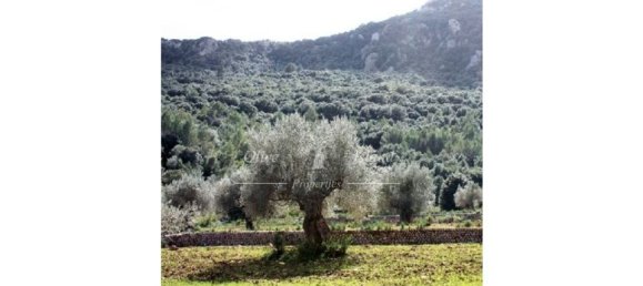 Вилла с 5 спальнями в Санта-Мария-дель-Ками, Испания № 176883 15